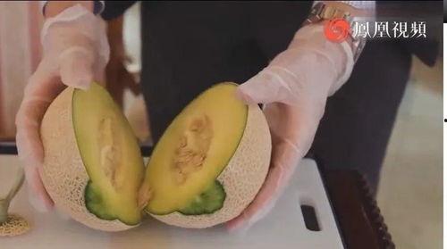 吃蜜瓜块声控,甜蜜瞬间，尽享自然之音