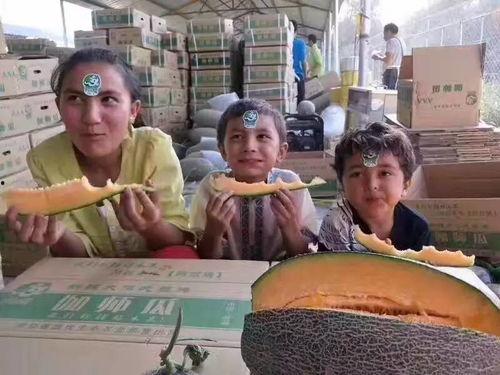 广西柳州吃瓜事件,一场引发热议的街头冲突纪实