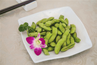 游客摘哈密瓜吃