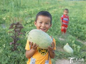 儿童吃瓜群众视频,小瓜娃们的欢乐吃瓜时光