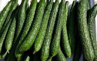 减肥可以吃苏瓜嘛,健康美味两不误