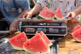 吃瓜受凉反胃想吐,受凉反胃呕吐的警示与应对