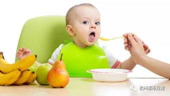 乳瓜六岁的小孩可以吃吗,六岁儿童适宜食用乳瓜吗？营养与安全解析