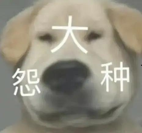 带你吃瓜沙雕特效,带你领略“带你吃瓜沙雕特效”的独特魅力