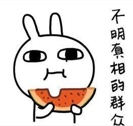 正在努力吃瓜的阿猹瓜,瓜界新宠，吃瓜群众的新欢