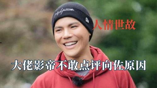 吃大瓜满朝文武,吃瓜群众视角下的满朝文武风云录