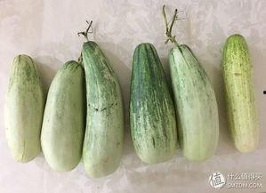 吃瓜群众黄瓜记,揭秘黄瓜背后的故事