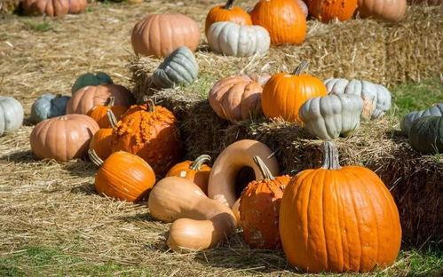 吃瓜护国,揭秘网络舆论背后的爱国情怀