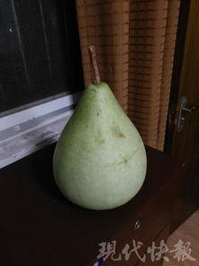 jijiu吃瓜,网络热词背后的故事与影响