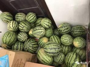 吃瓜投稿群,揭秘娱乐圈幕后故事