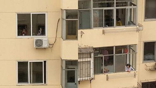 小区窗户楼下吃瓜,邻里和谐共赏