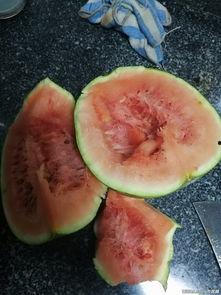 发霉的瓜可以吃吗,能否安心入口？