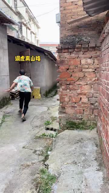 调虎离山吃瓜视频,吃瓜群众见证一场精彩对决