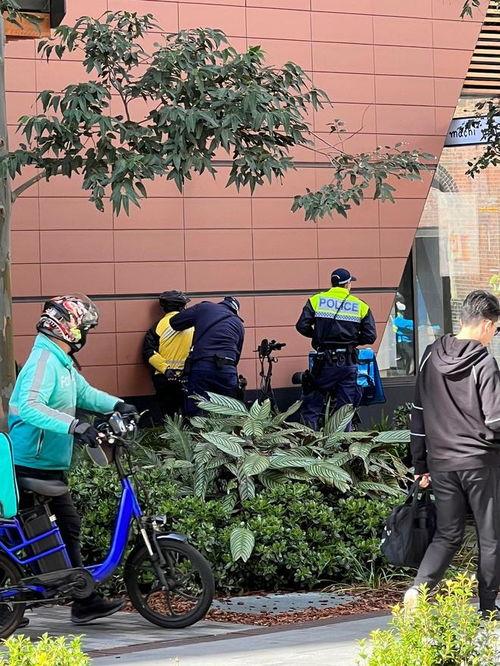 外卖现场吃瓜,吃瓜群众围观一幕幕“舌尖上的故事”