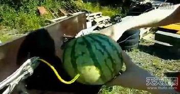 吃瓜青蛙目瞪口呆,揭秘娱乐圈惊人内幕