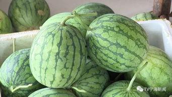 强势吃瓜2,揭秘娱乐圈风云再起