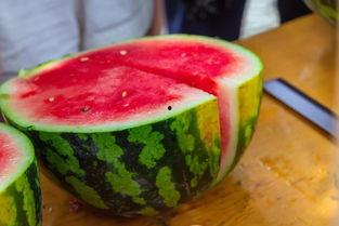 湖州吃瓜大达人