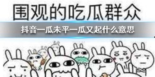 日常在抖音吃瓜