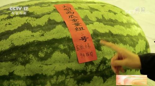 云别离吃瓜,揭秘娱乐圈的甜蜜与苦涩