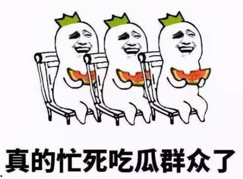 吃瓜群众找我吃瓜